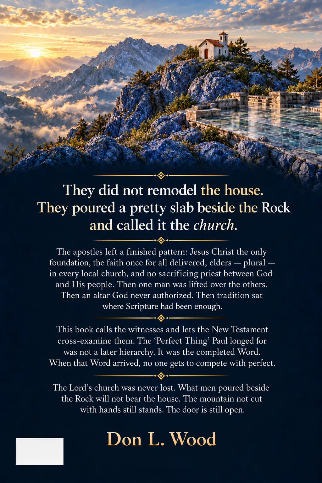Back cover of Who Changed the Church?